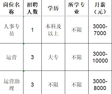 淄博佑廷电子商务有限公司招聘人事专员,运营,运营助理